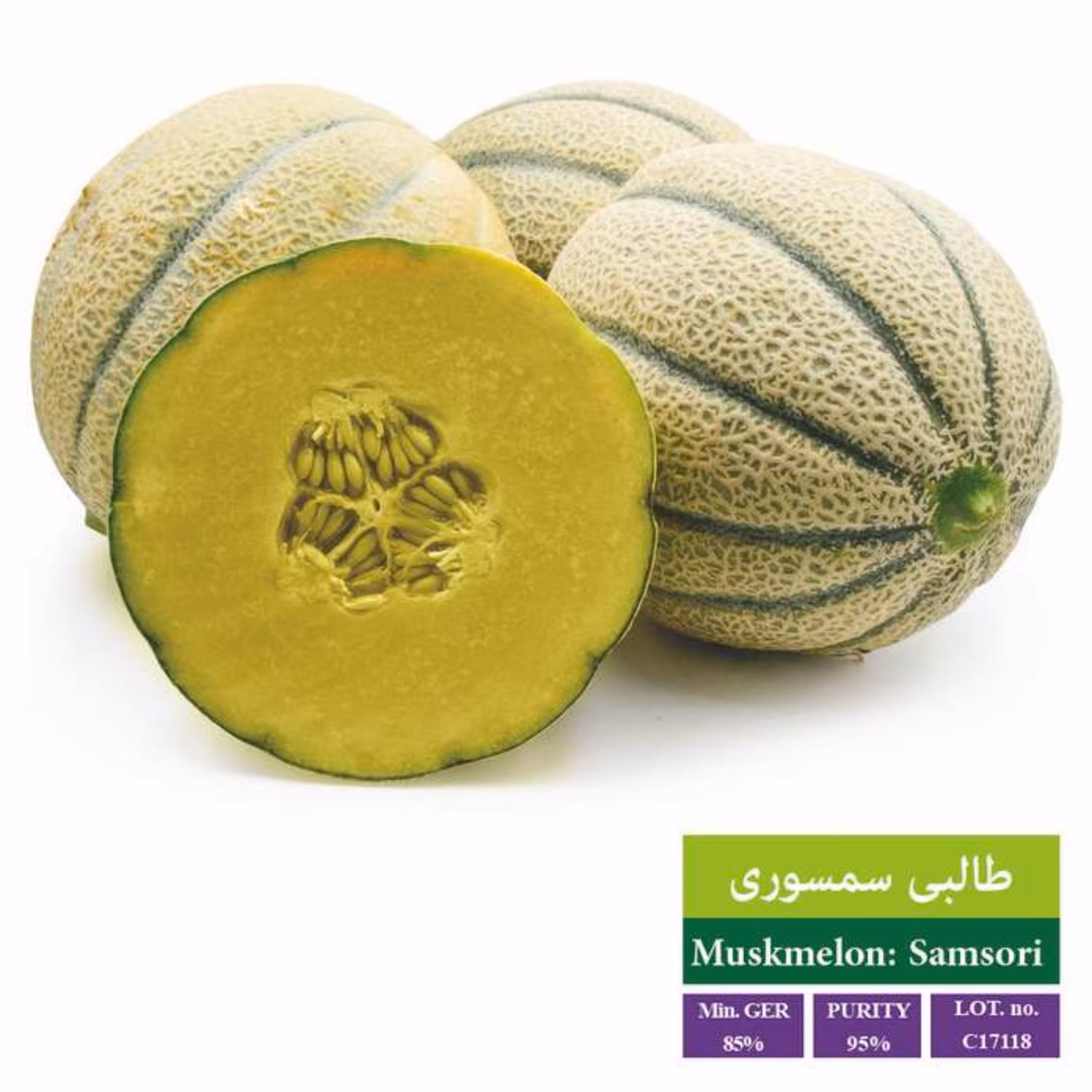 بذر طالبی سمسوری بذر طلایی رویان 