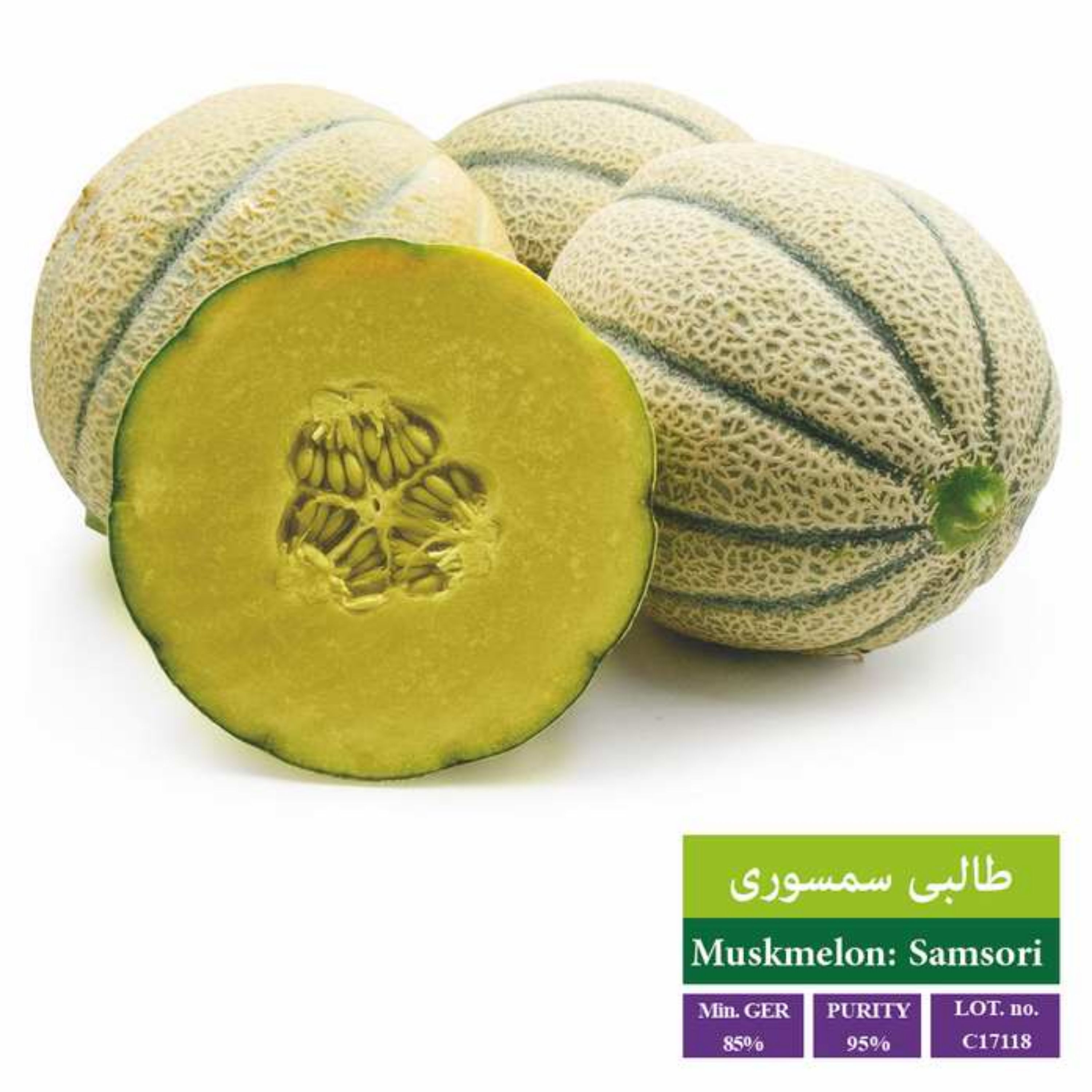 بذر طالبی سمسوری بذر طلایی رویان
