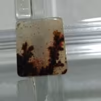 نگین شجر با گل های مشکی قرمز سایز ریز زنانه