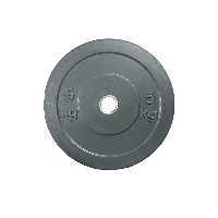 صفحه هالتر 5 کیلوگرمی کراس فیت(CROSSFIT) در بسته دو عددی کد QE1