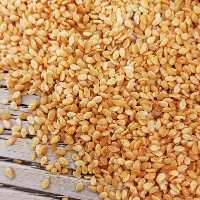 کنجد ایرانی تنوری