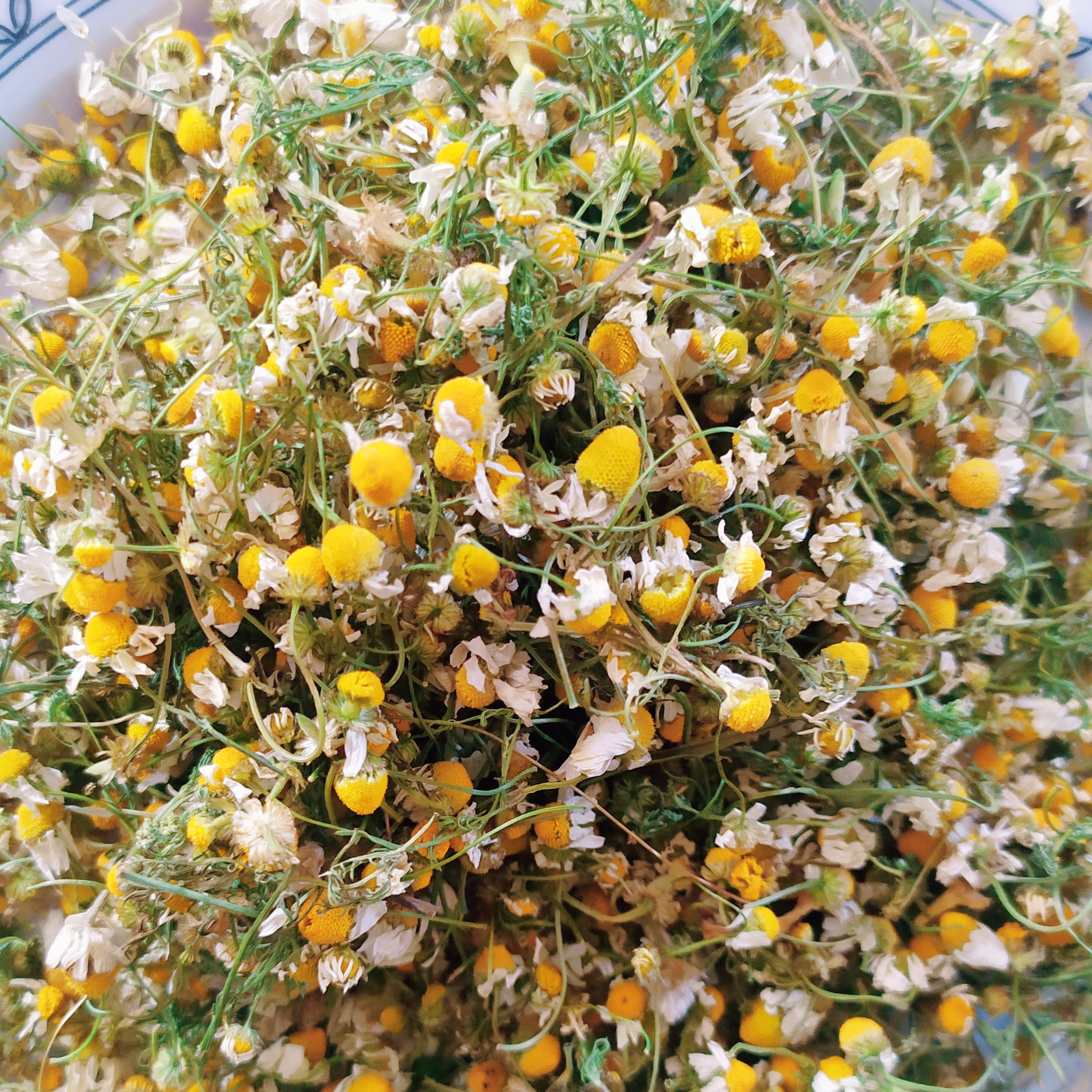 گل بابونه(50گرم)