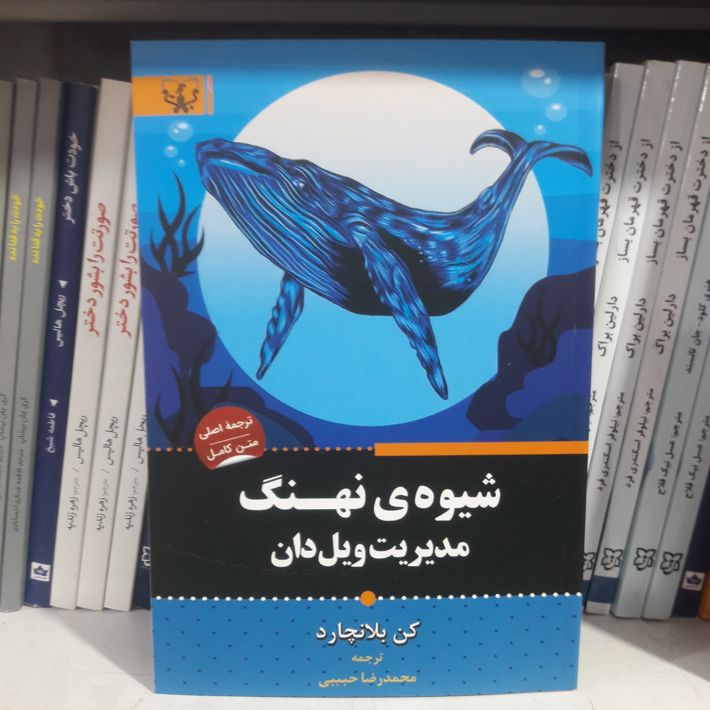 کتاب شیوه ی نهنگ مدیریت ویل دان