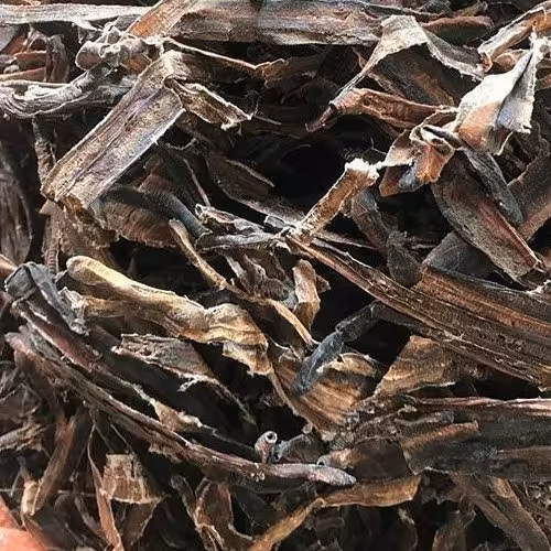 خراطین خشک (1کیلویی)