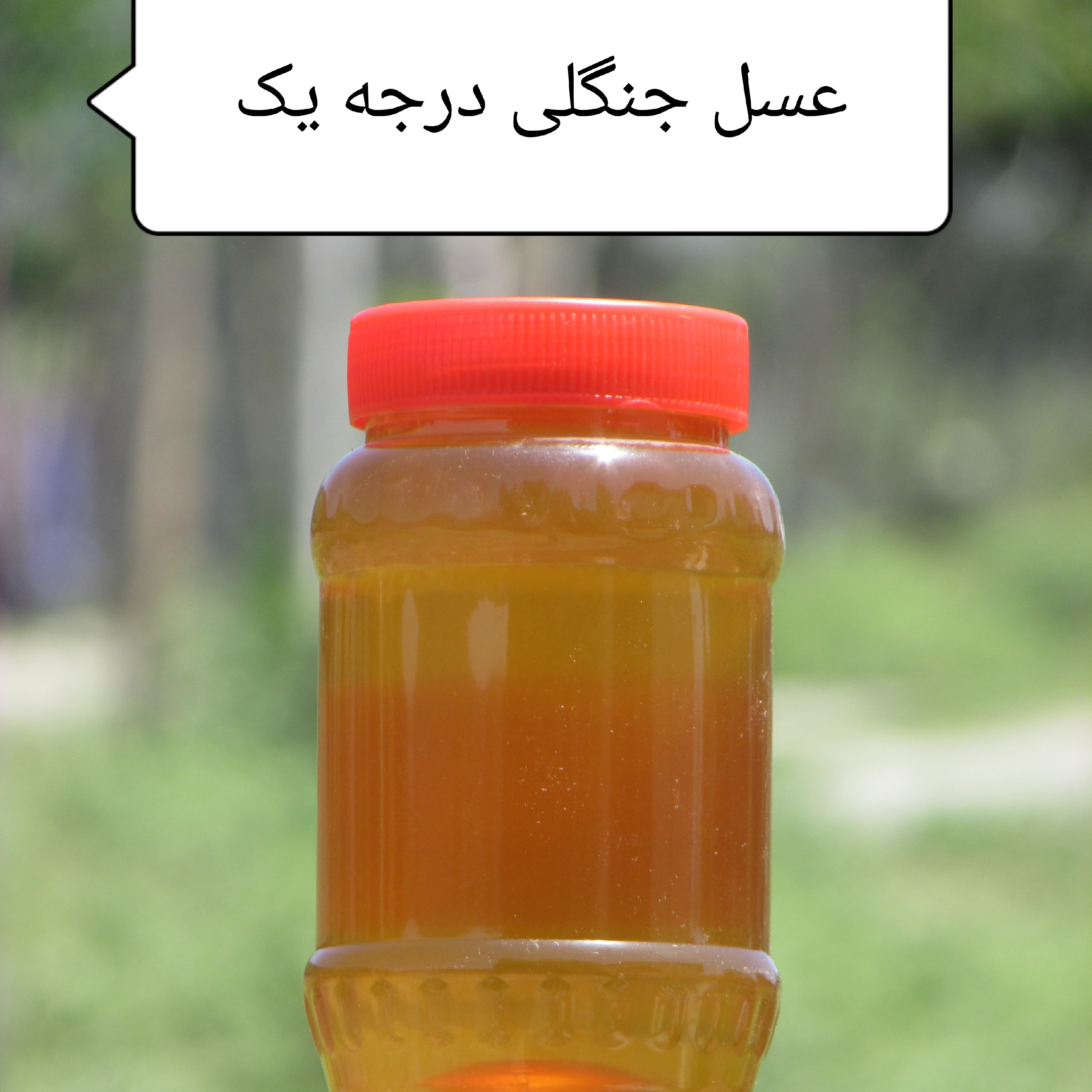 عسل جنگلی سوادکوه