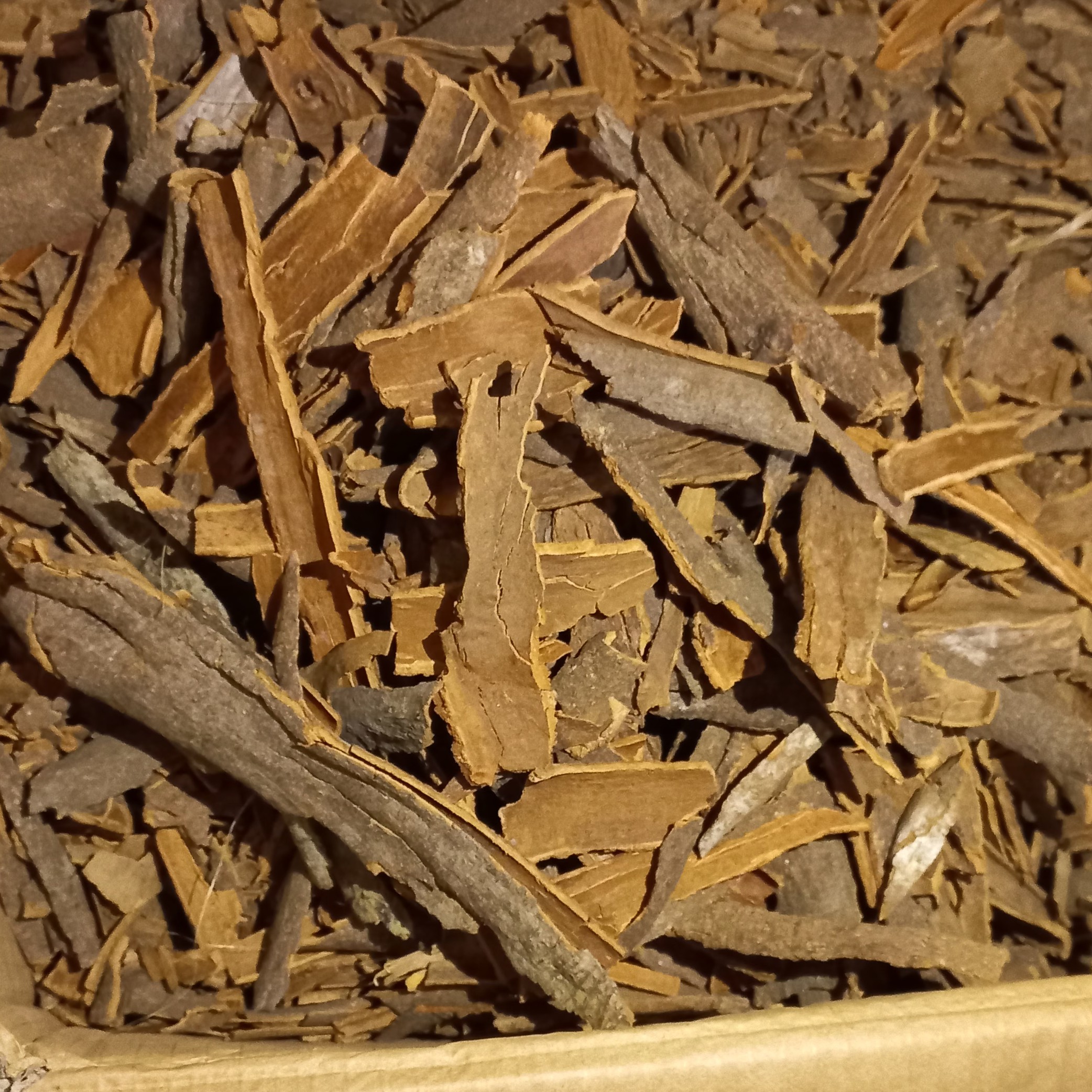 دارچین قلم گل سرخ عطری100گرمی