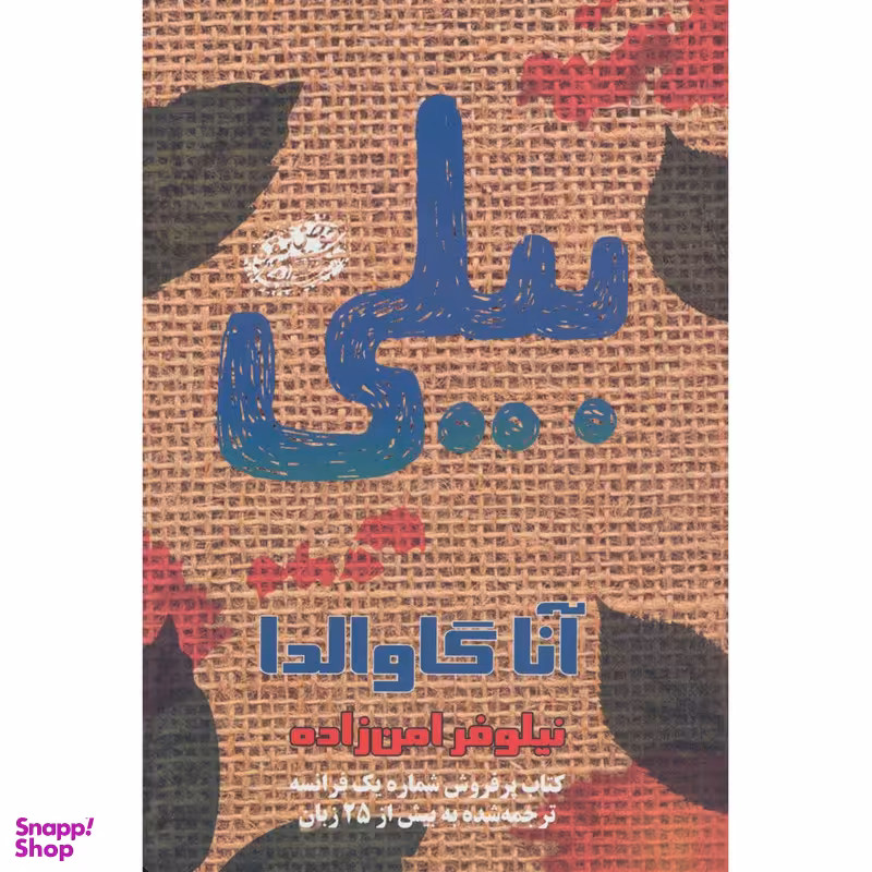 کتاب بیلی اثر آنا گاوالدا انتشارات حوض نقره