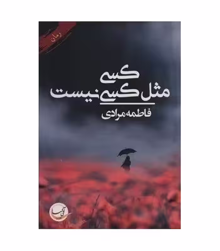 کتاب کسی مثل کسی نیست