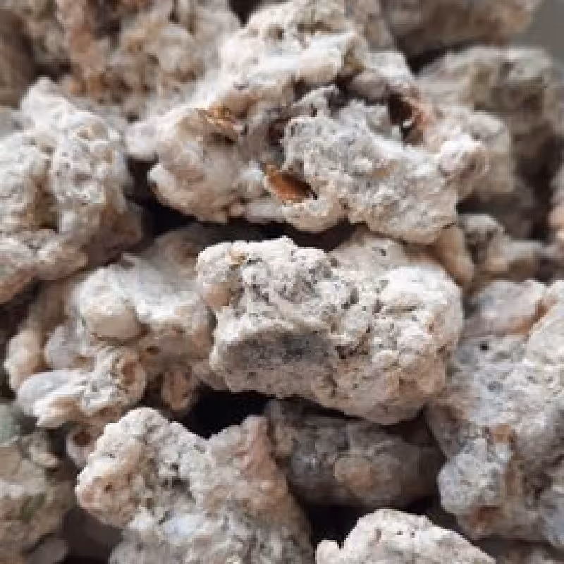 شیر خشت درجه 1  100گرم