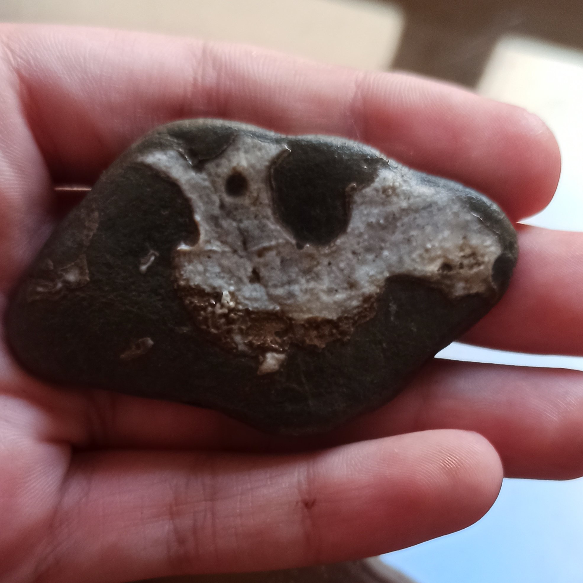 سنگ مصور مرغ و اژدها. استثنایی فوق العاده زیبا