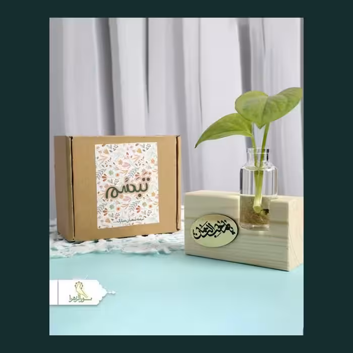 50عدد گلدان تبسم