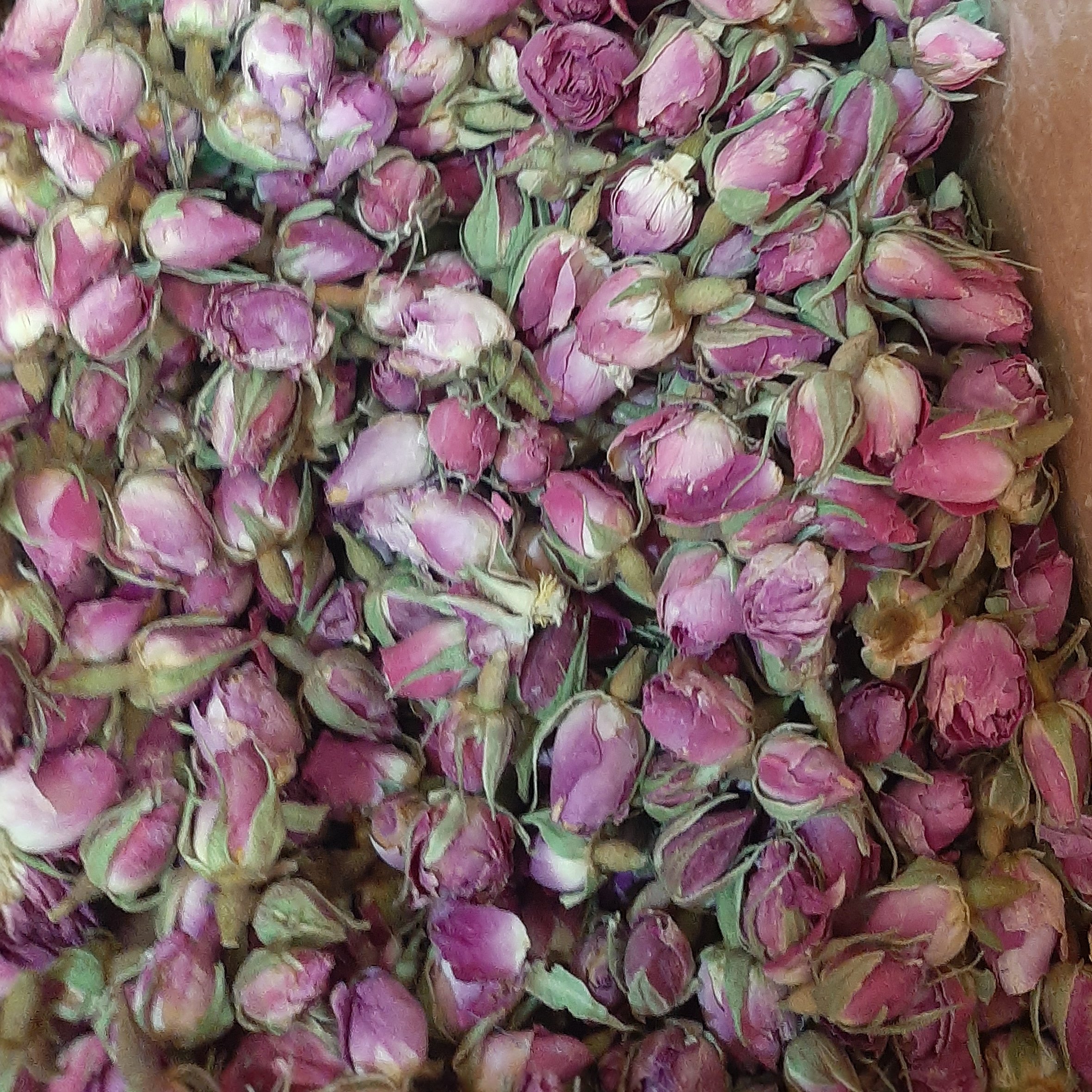 غنچه گل محمدی 100 گرمی