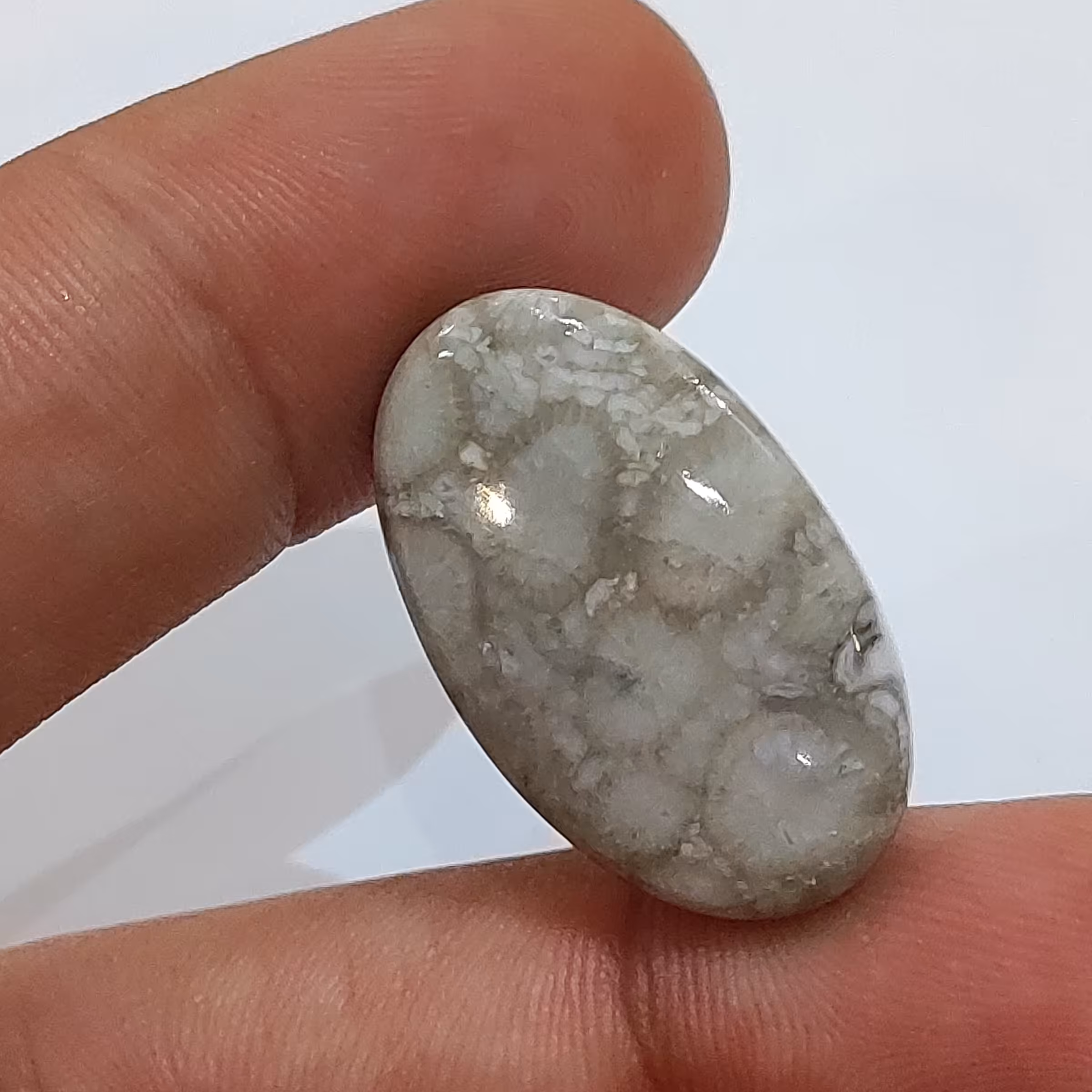 سنگ فسیل مرجان طبیعی و اصل با نقش عالی قدمت بالا  کلکسیونی کد w17