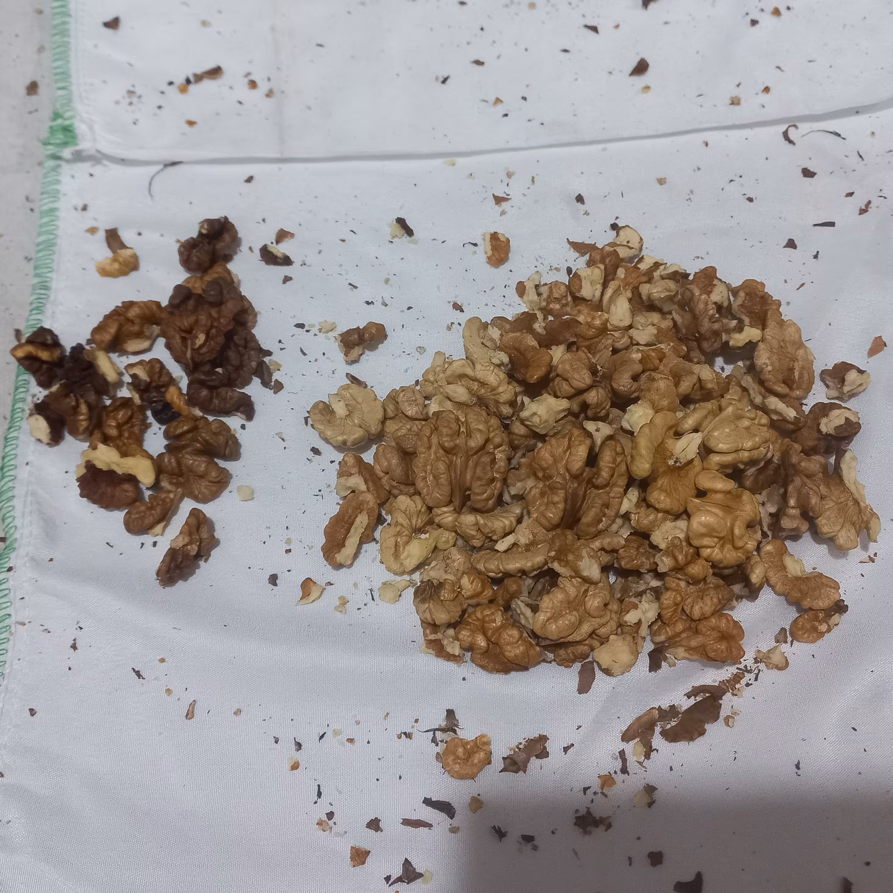 گردوی نهاوند مغز پر  ، پرچربی