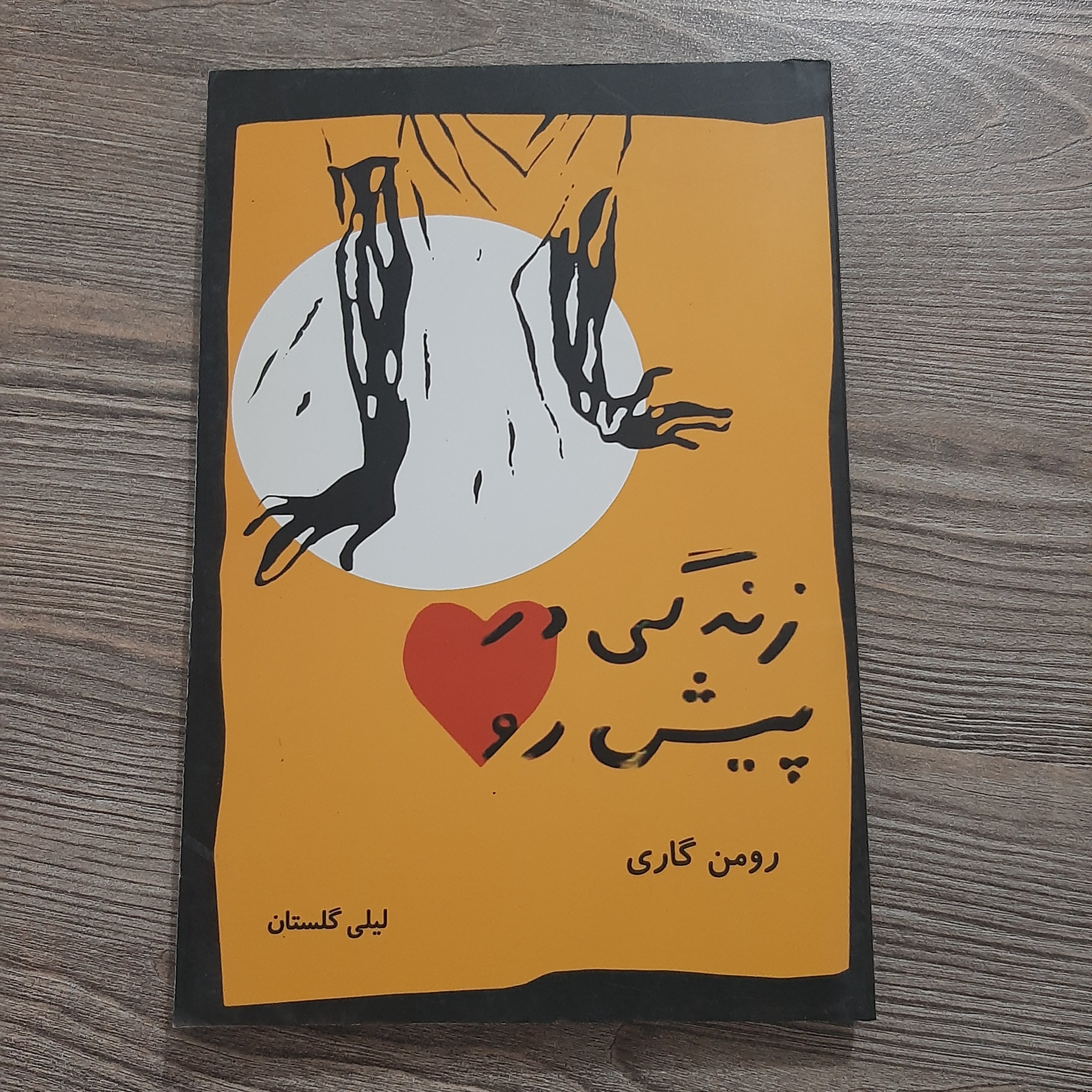 کتاب زندگی در پیش رو