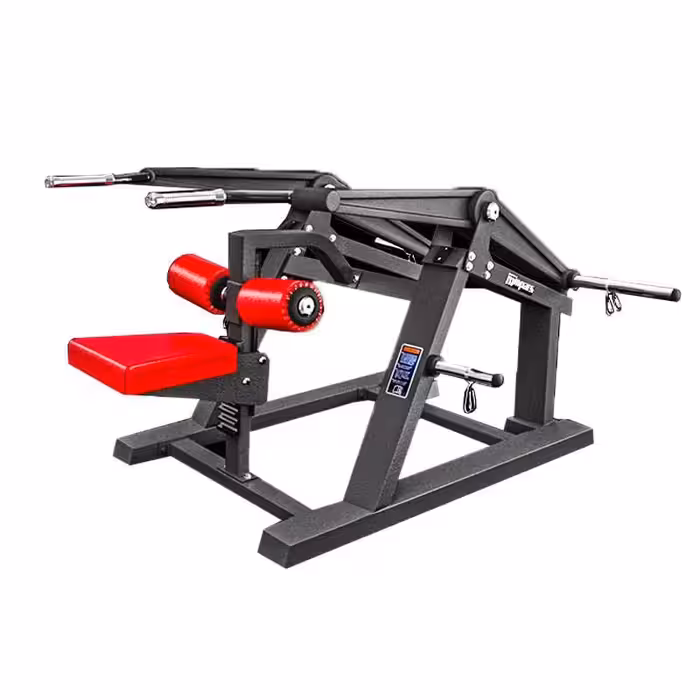 دستگاه وزنه آزاد پشت بازو دیپ اینپارس FW5009