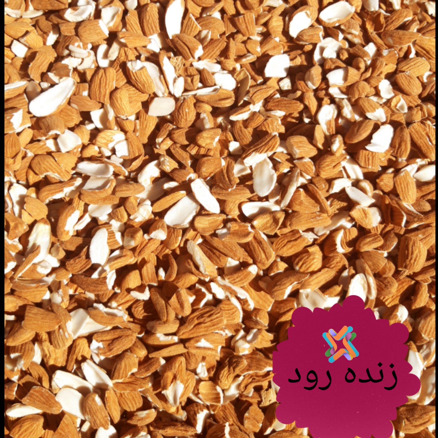 شکسته مامائی پاک شده 1402 یک کیلوئی حراج حراج