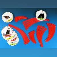 مجموعه زنجیره غذایی