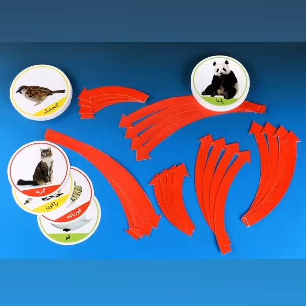 مجموعه زنجیره غذایی