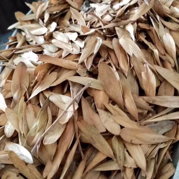 زبان گنجشک (10کیلویی)