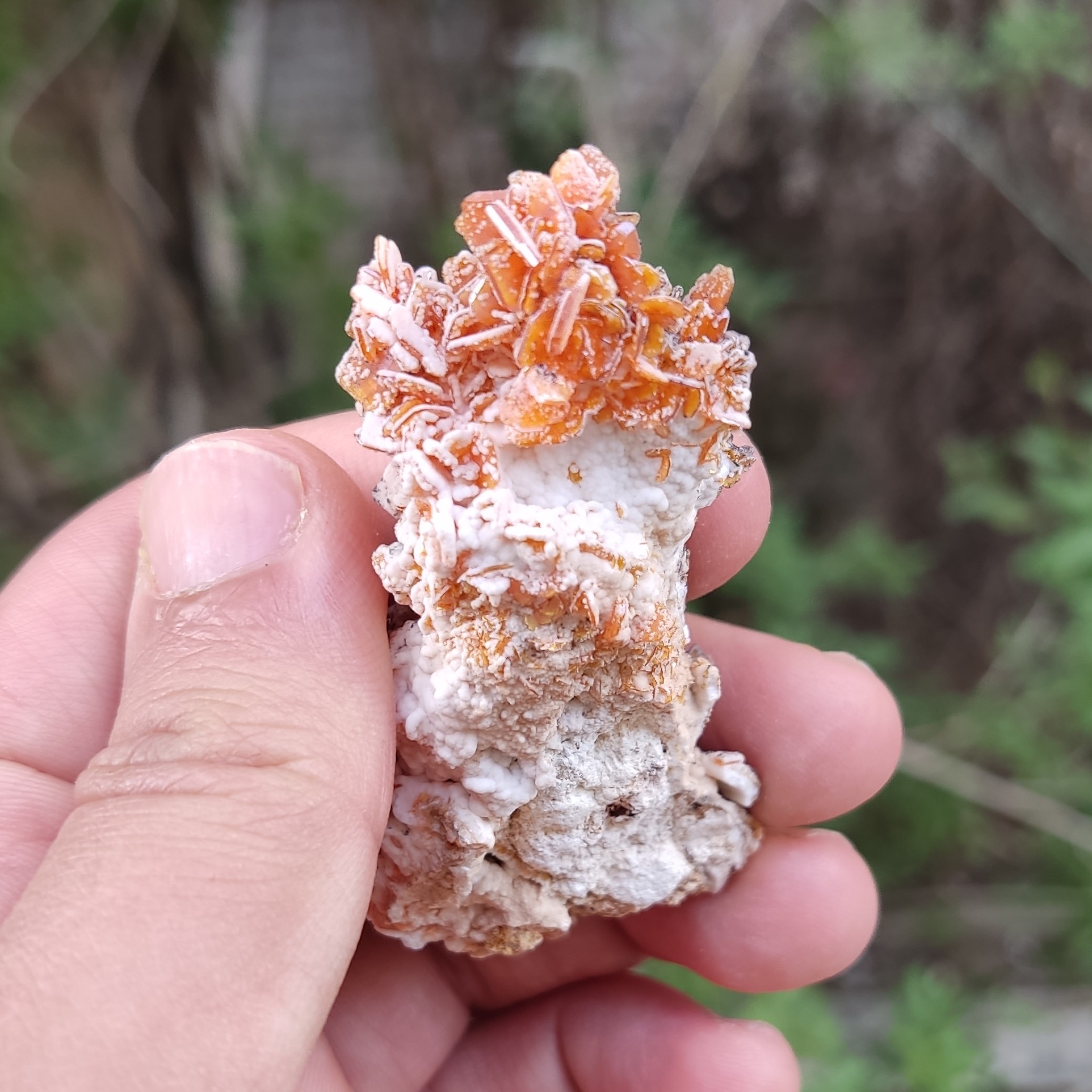 سنگ ولفونیت با همرشدی کلسیت کلکسیونی (کد7)