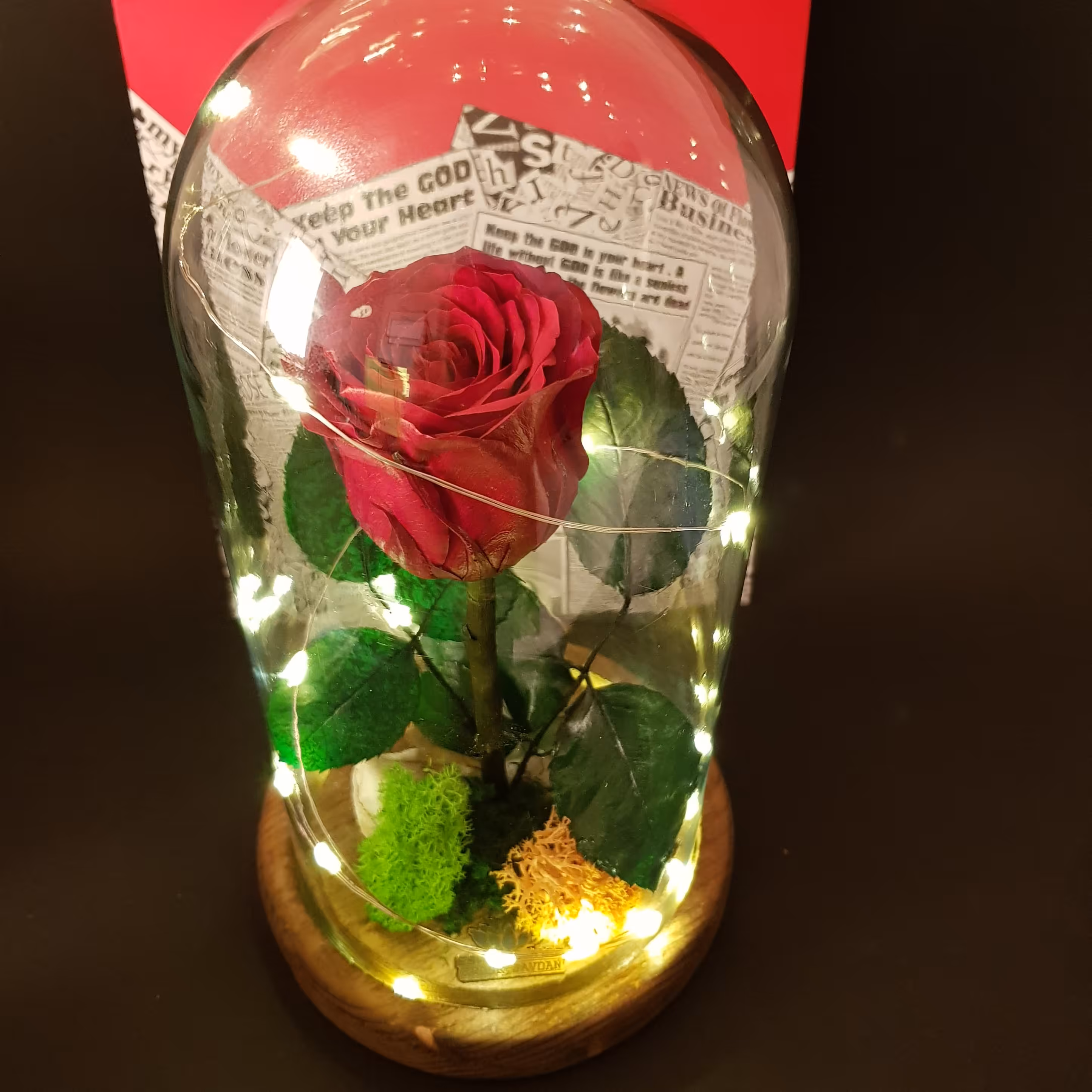 گل رز جاویدان قرمز با ریسه طرح دیو و دلبر ( کادو ولنتاین ) باکس گل