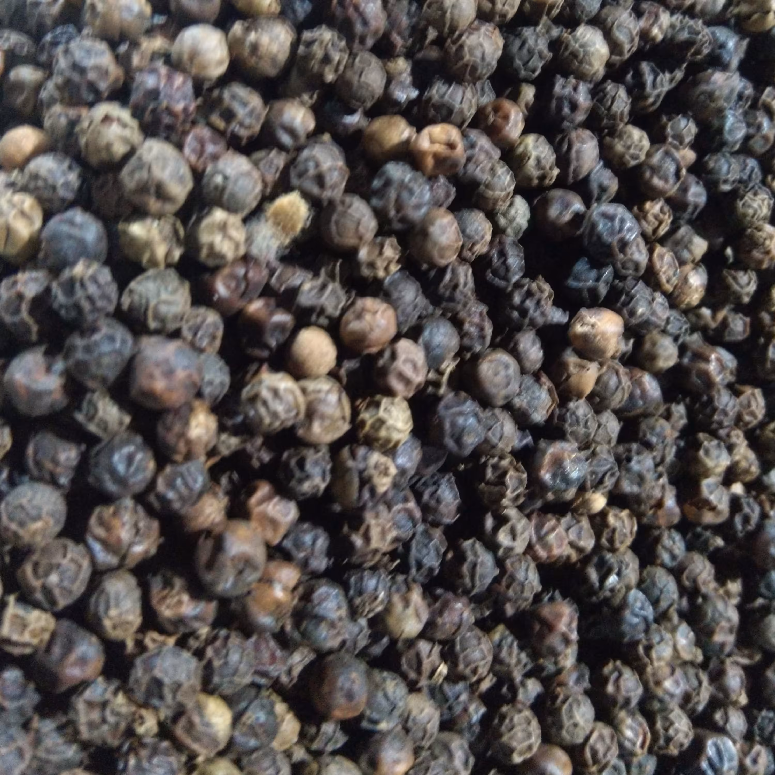 فلفل سیاه درشت (250g)طبیب