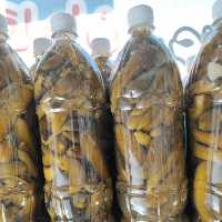 خیارشور  خوشمزه و ترد فروش بصورت عمده و خرده