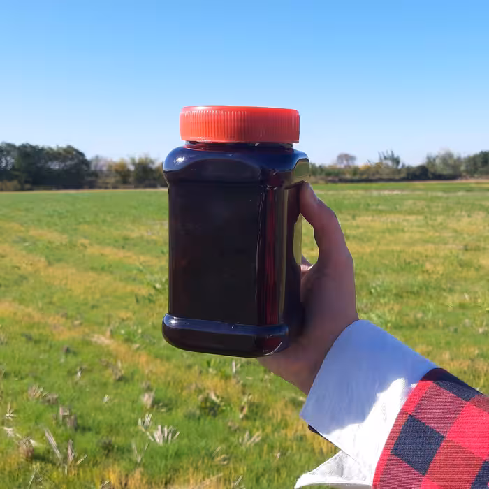 مربا بلکبری(تمشک) 1 کیلویی خانگی 100درصد طبیعی 1402