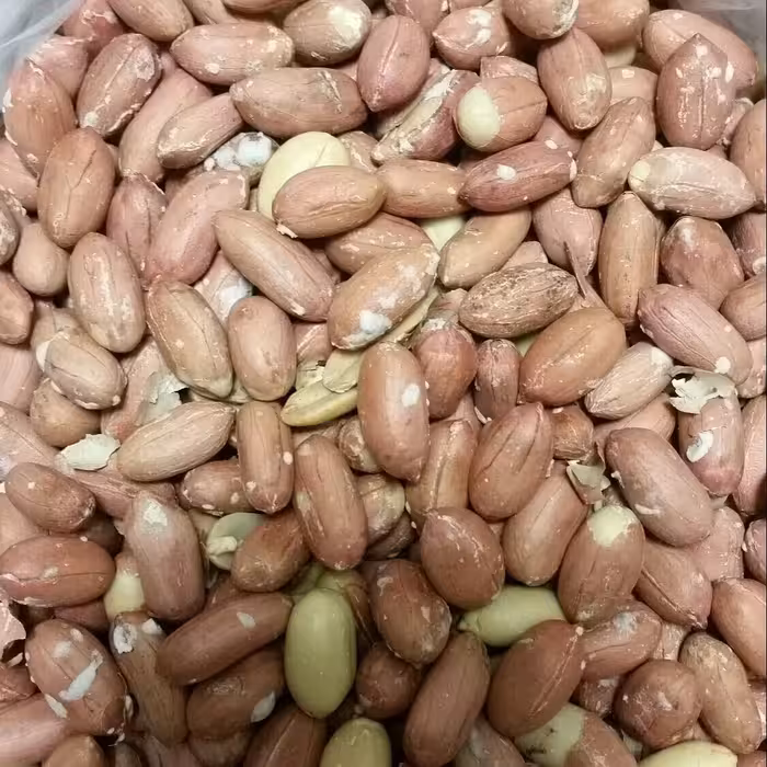 بادام زمینی  ممتاز و درشت آستانه  یک کیلویی