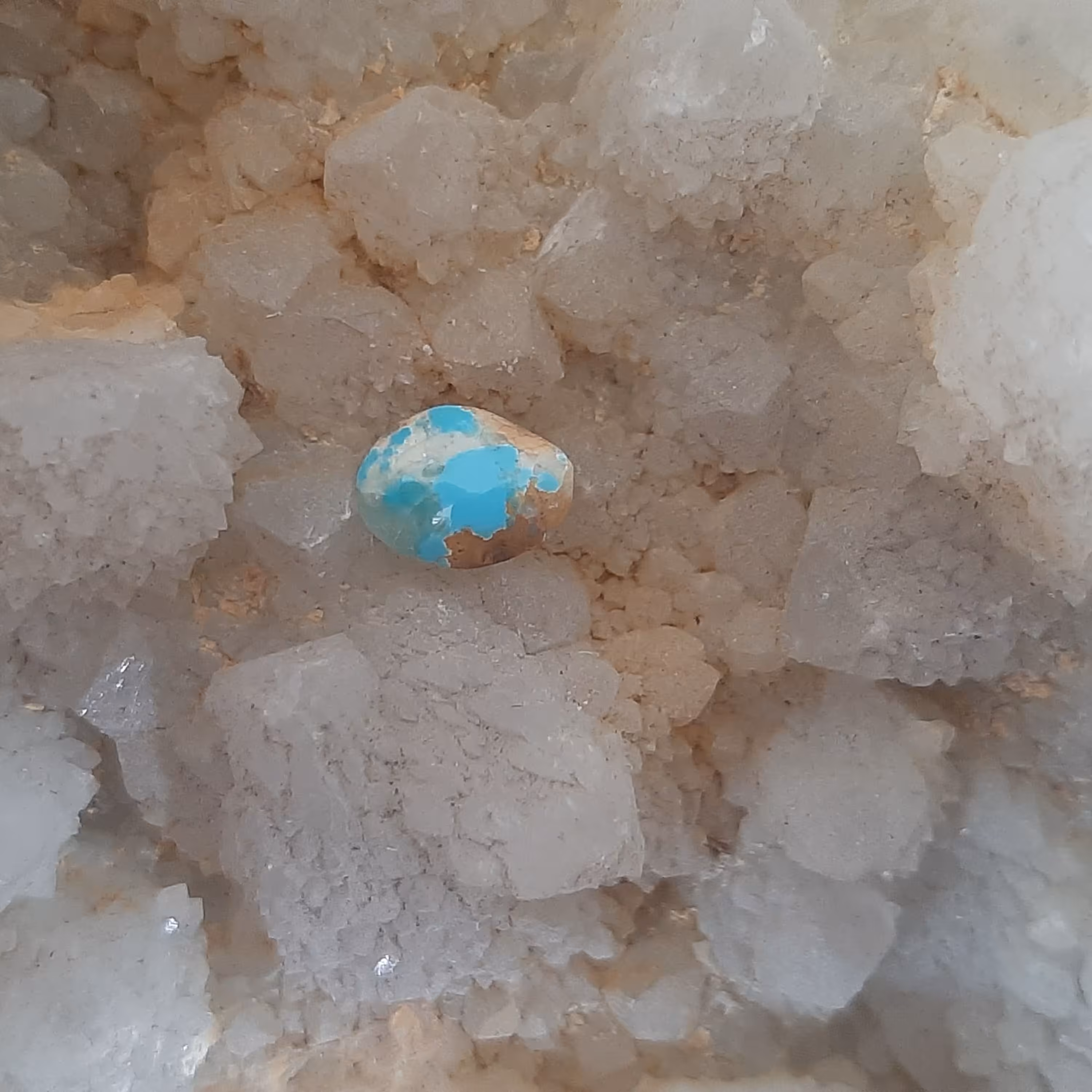 نگین فیروزه نیشابور  کد 522