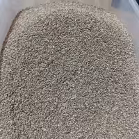 تخم زنیان نانخواه اعلاء 900 گرم