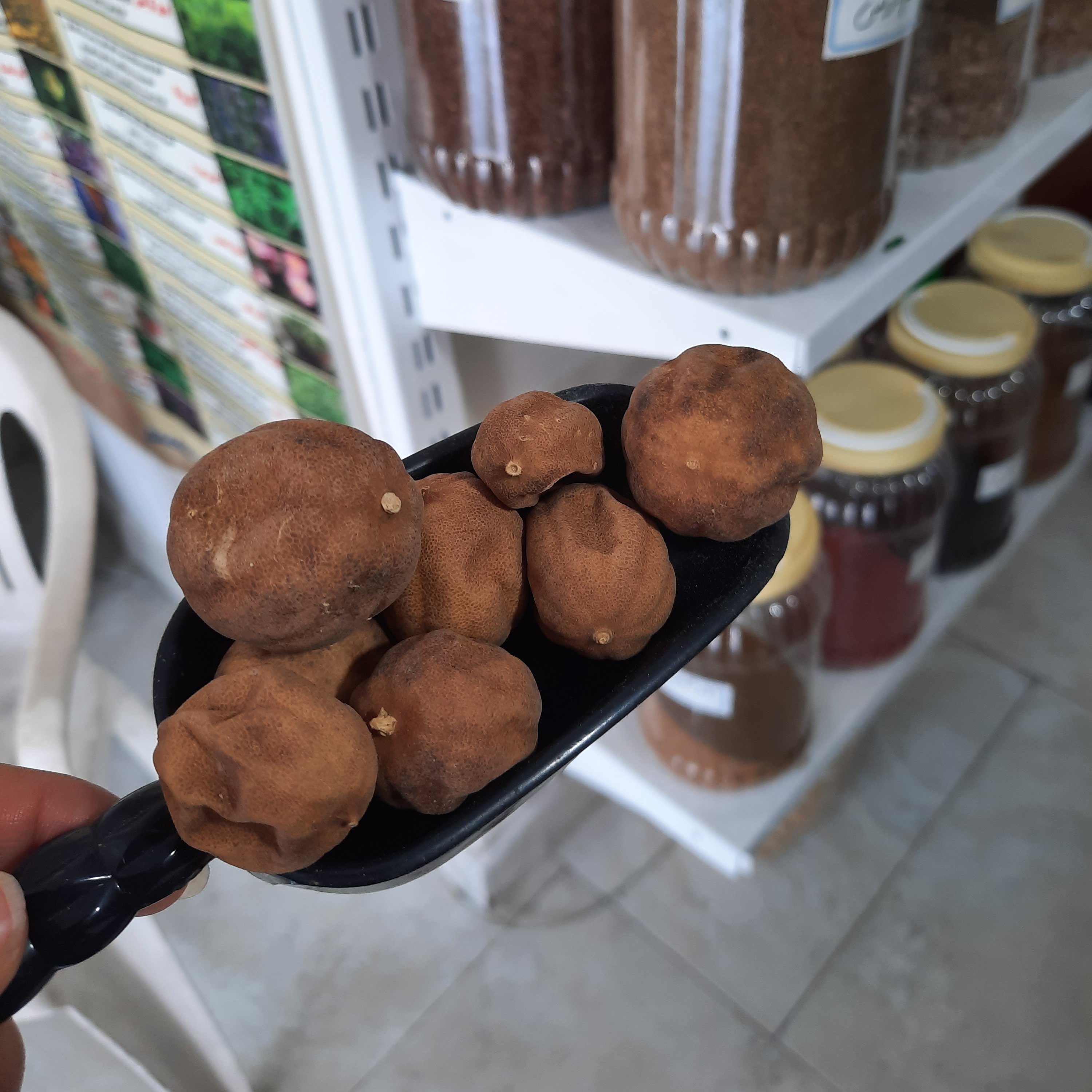 لیمو عمانی ( درجه 1 )