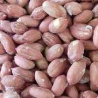 بادام زمینی شور ممتاز درشت فدک (750گرم)