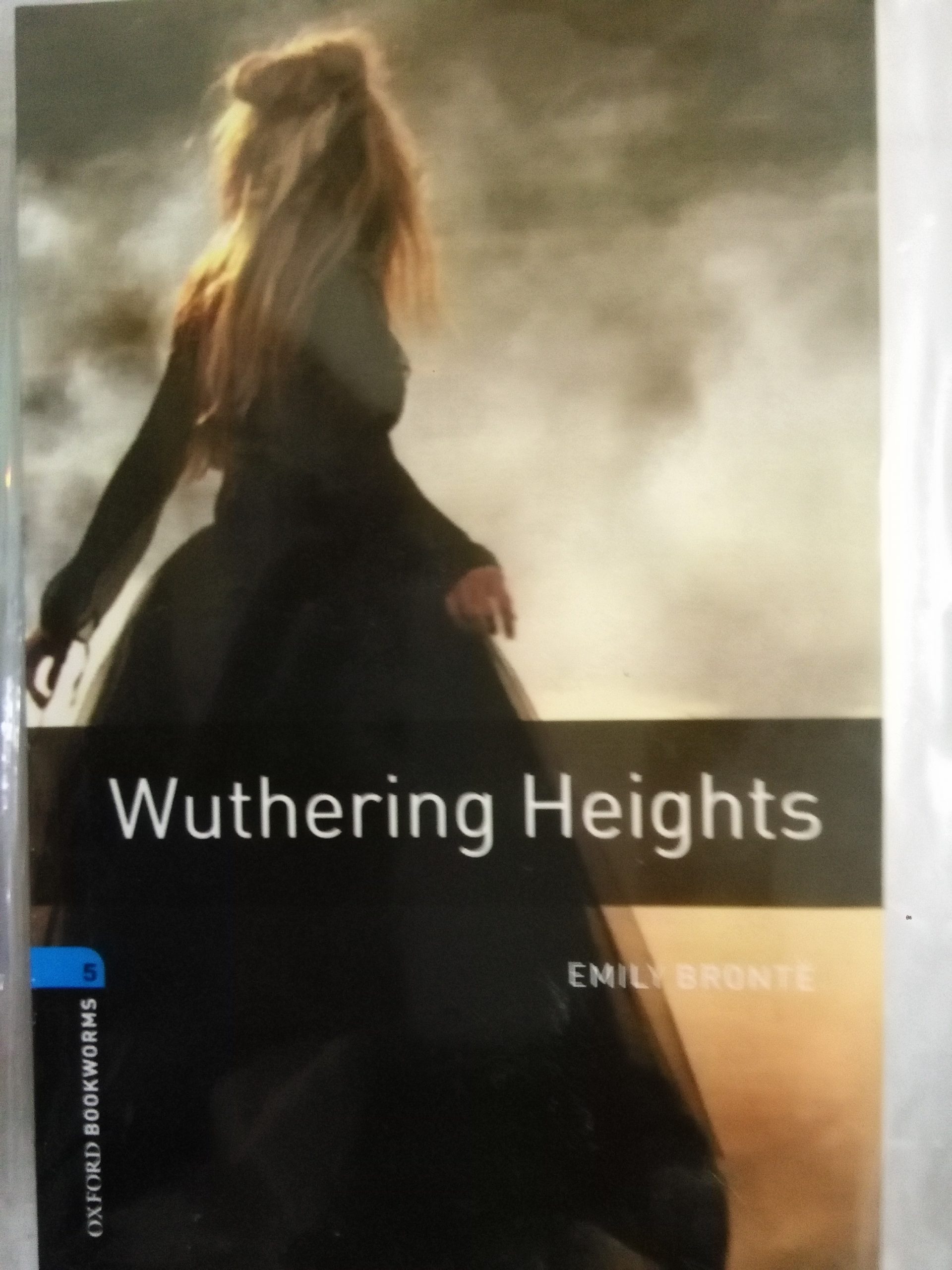 داستان Wuthering Heights