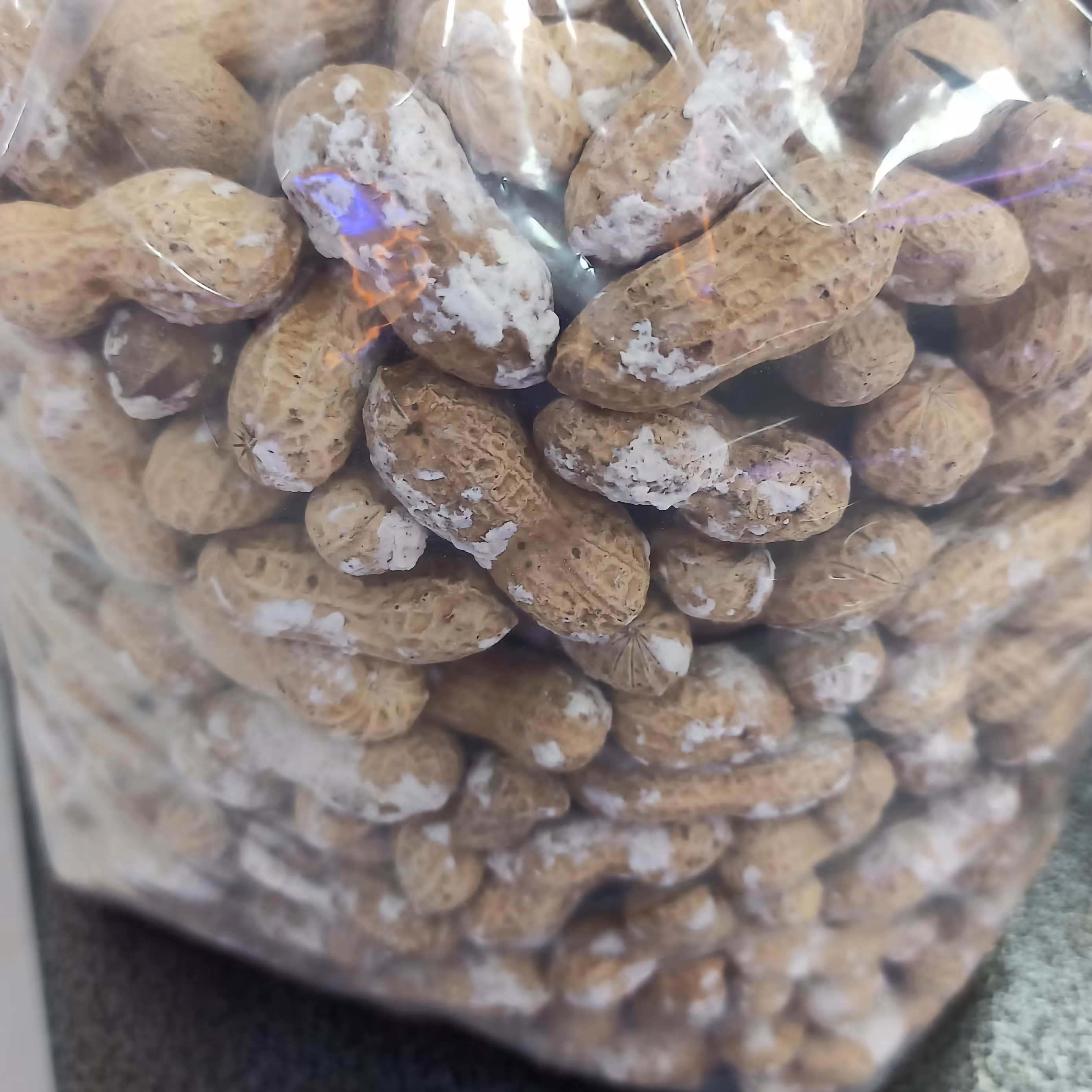 بادام زمینی غلافدار(1000گرمی)