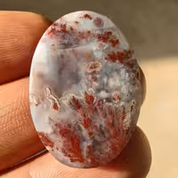 عقیق شجر گل سرخ 