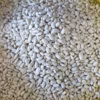 لوبیا سفید درجه یک