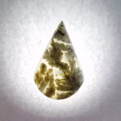 سنگ شجر کد 40019