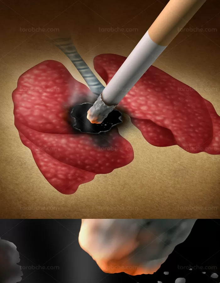 عکس مفهومی مضرات سیگار با کیفیت عالی شماره 02 - گرافیک با طعم تربچه