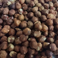 مغز فندق خام 250 گرمی ممتاز تازه