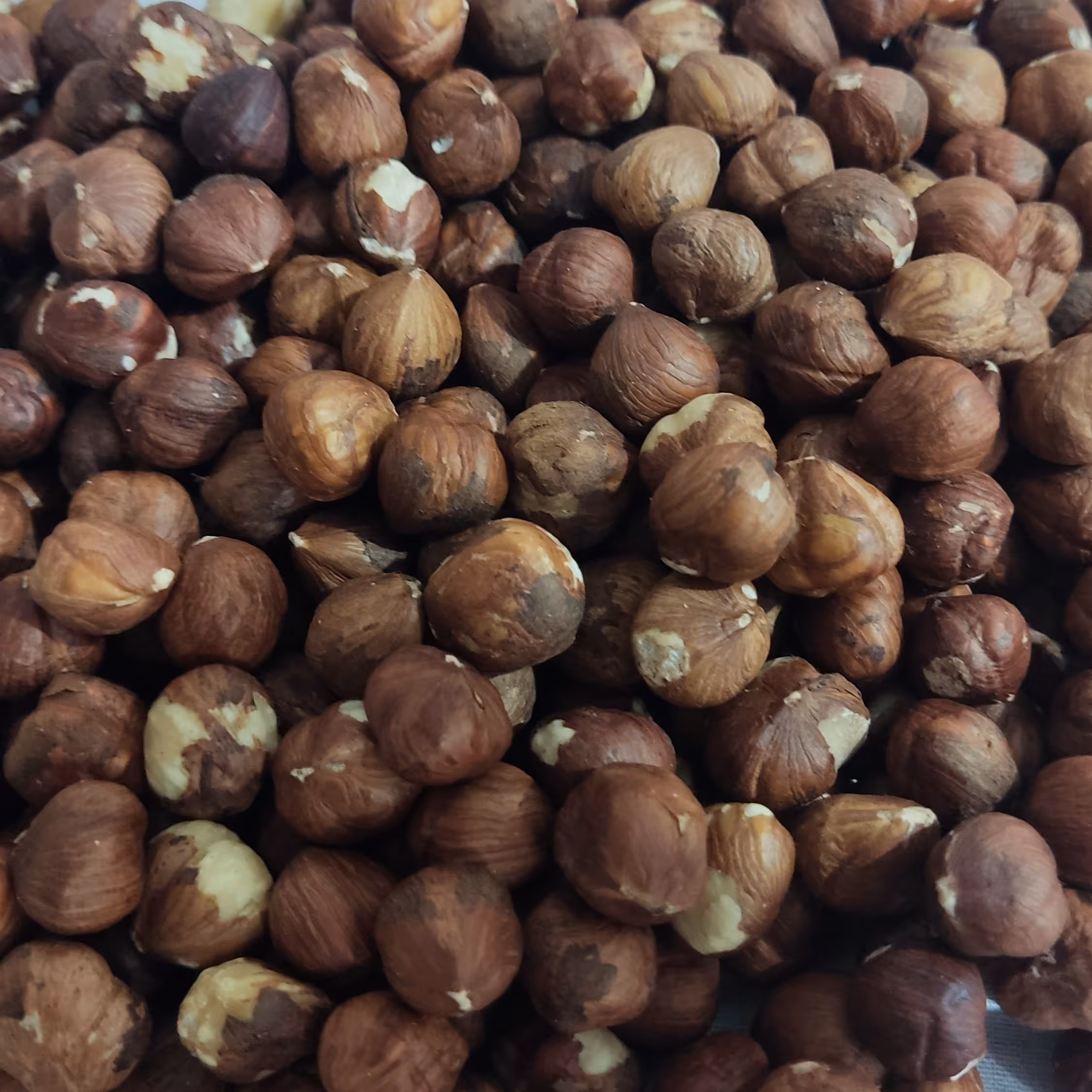 مغز فندق خام 250 گرمی ممتاز تازه