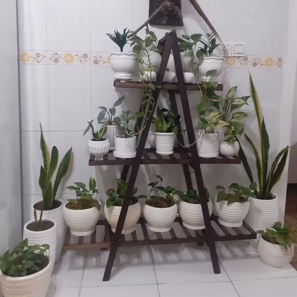 استند گلدان