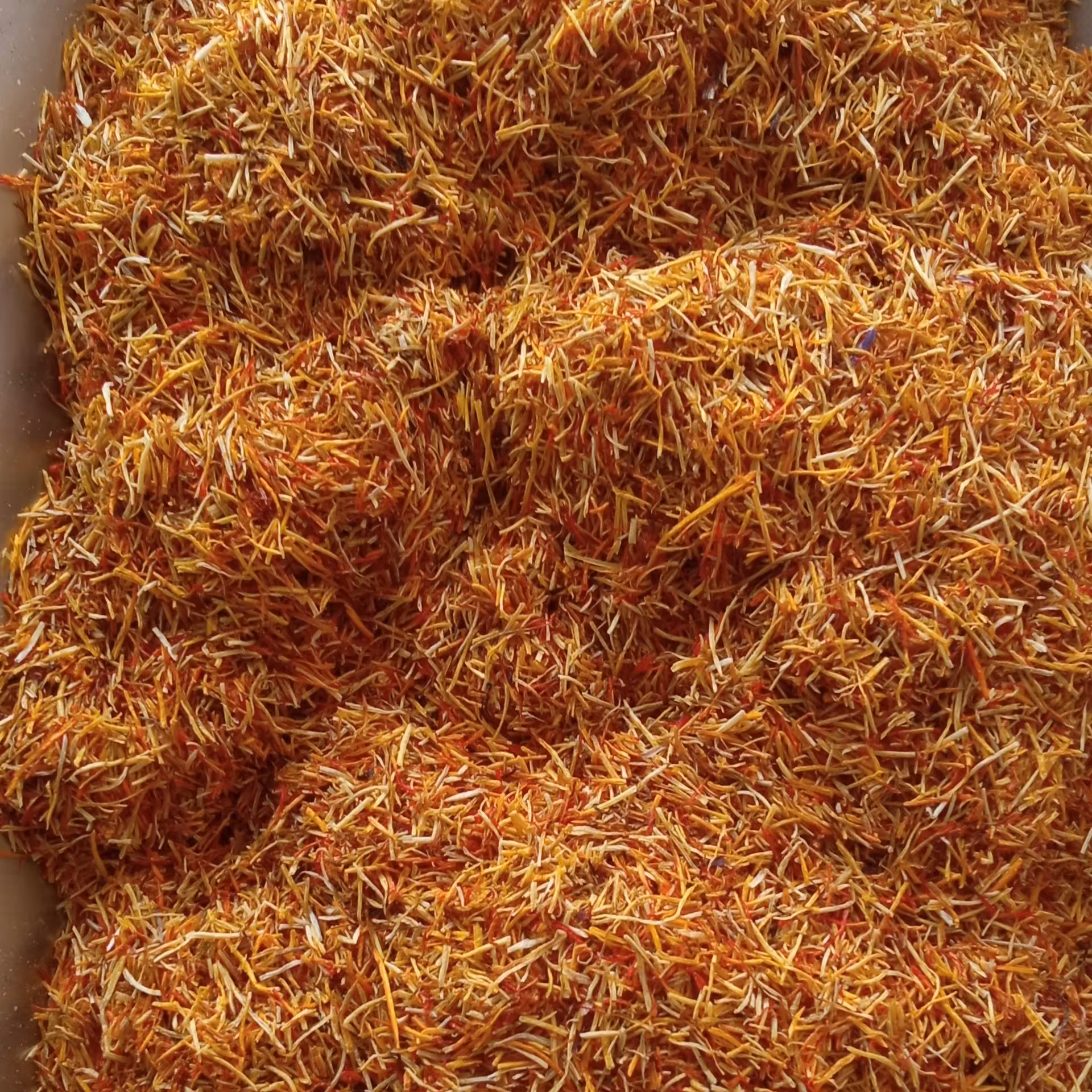 ریشه سفید زعفران 5مثقالی اصل قائنات