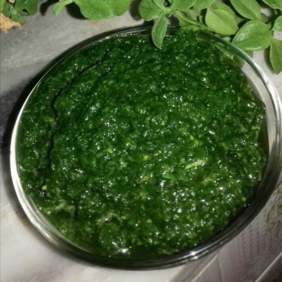 دلال ماست( با سیر)،( 500 گرمی)