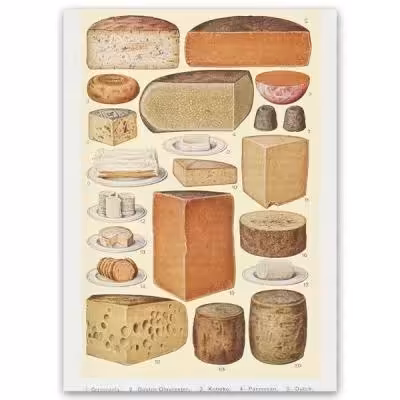 پوستر طرح پنیرها