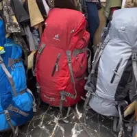 کوله پشتی دیوتراصل اورجینال