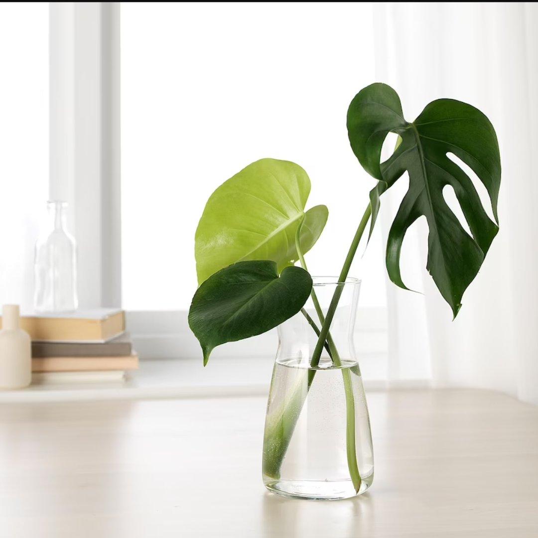 پارچ  و گلدان ایکیا