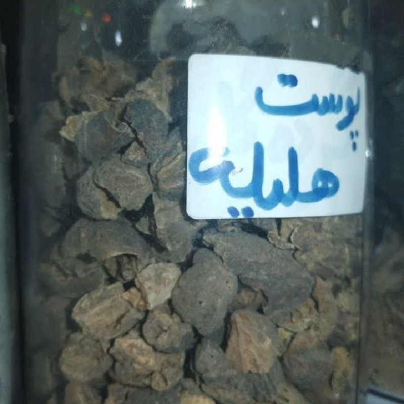 پوست هلیله زرد درشت یکدست 100 گرمی