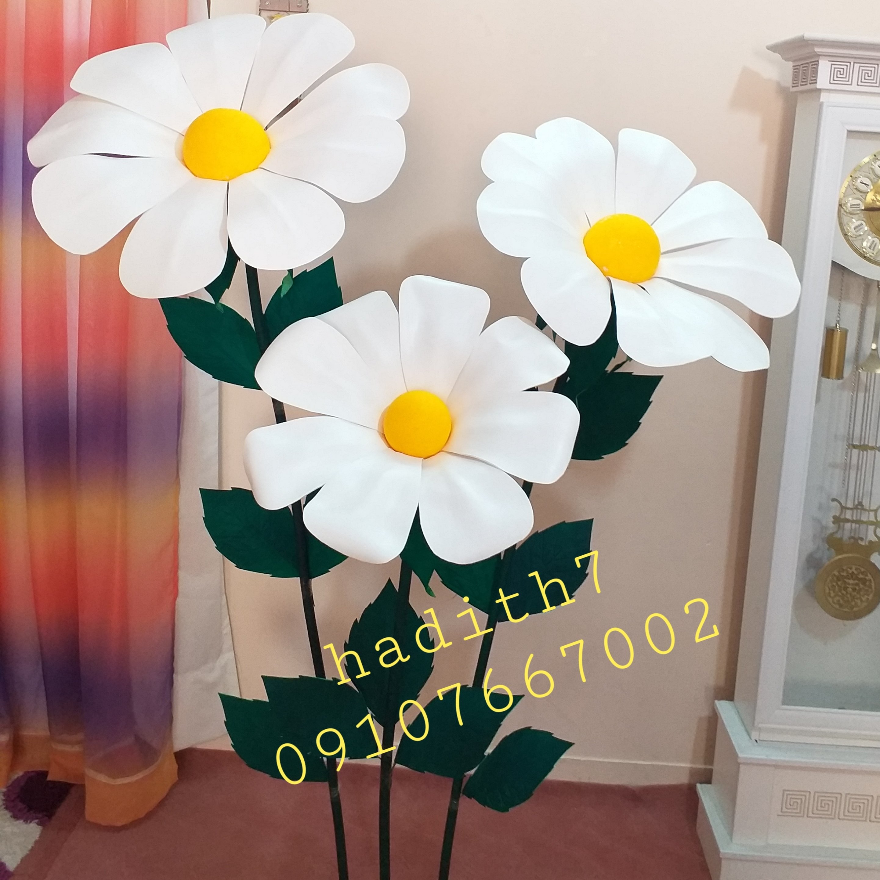 بابونه بزرگ